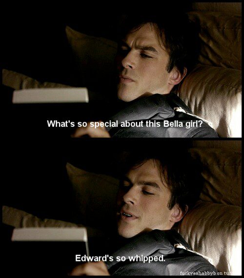 Top 5 Most Funny Quotes Of Damon Salvatore In TVD - The Panther Tech